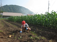b0116933_2161485.jpg