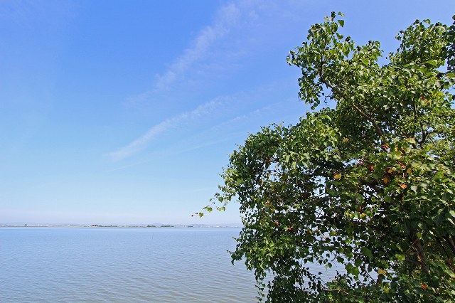 a0242438_19412984.jpg