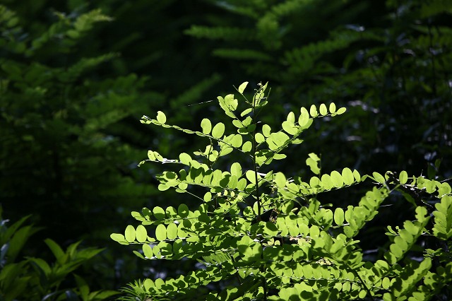 a0242438_1941730.jpg