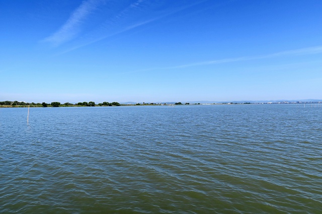 a0242438_19425818.jpg