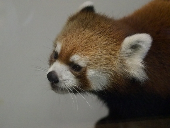 a0149740_19484576.jpg