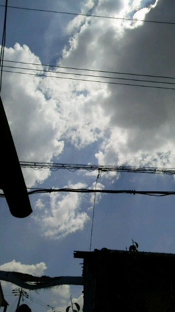 d0343540_13332123.jpg