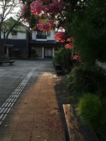 a0027641_2155846.jpg