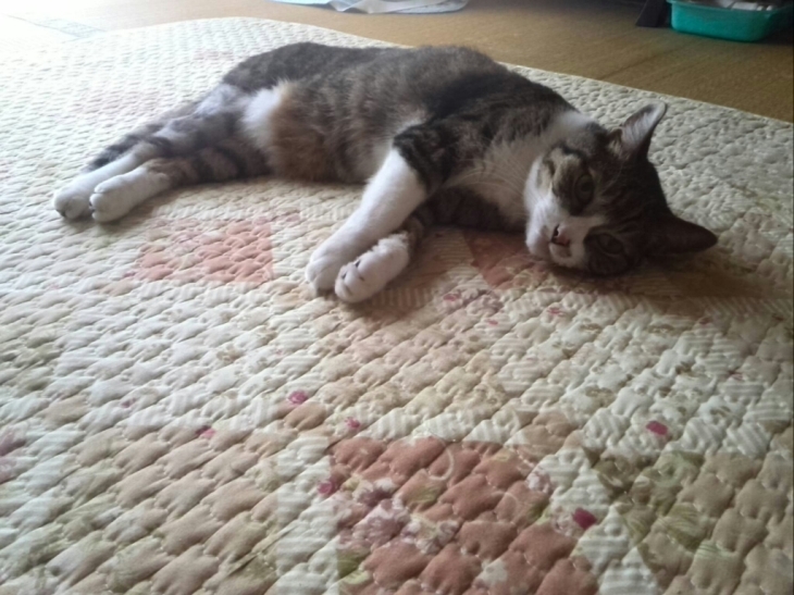 c0194042_19200610.jpg