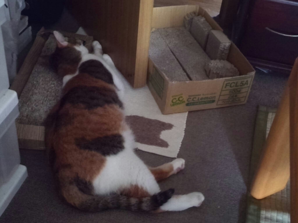 c0194042_19201210.jpg