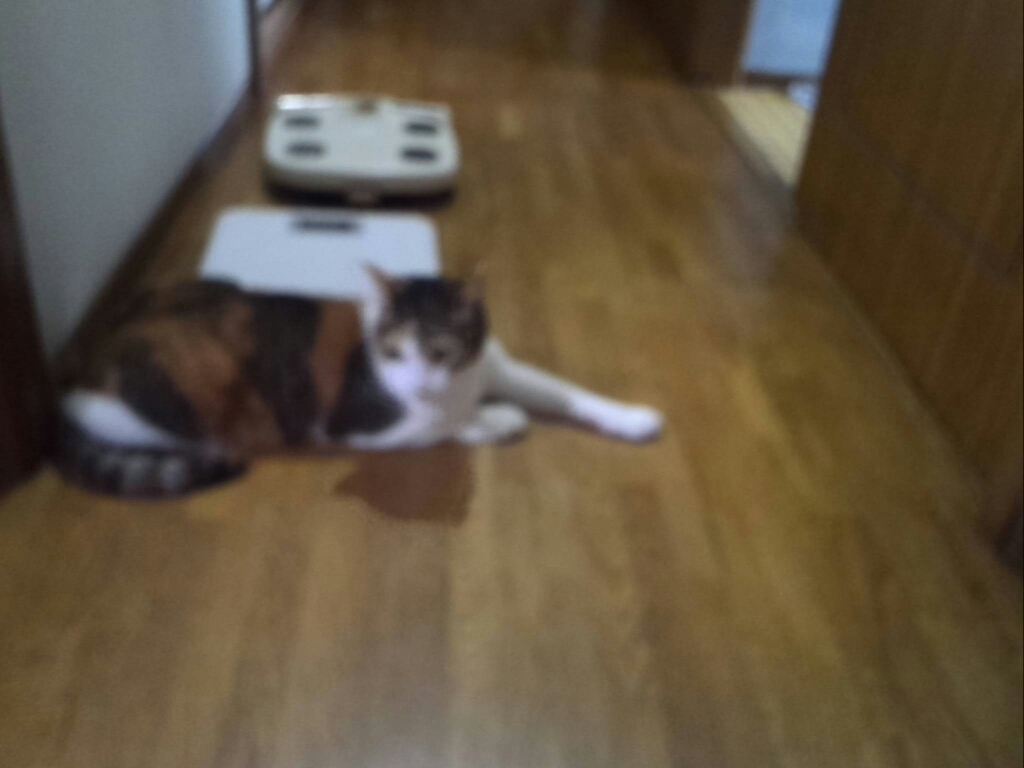 c0194042_19201543.jpg