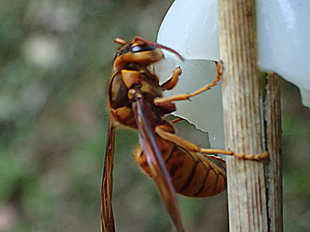 f0214649_252392.jpg