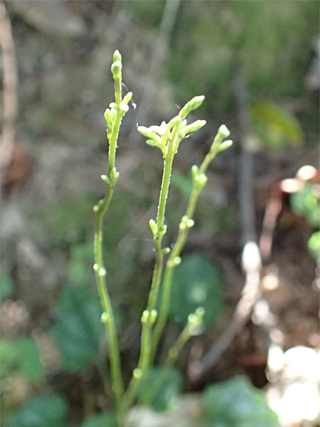 f0214649_2543997.jpg
