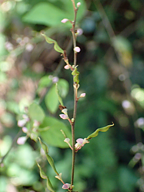 f0214649_2552537.jpg
