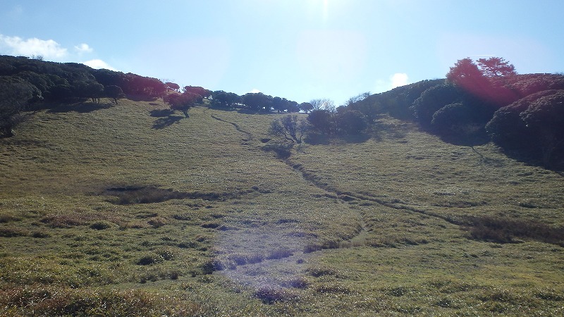 c0097754_16014439.jpg