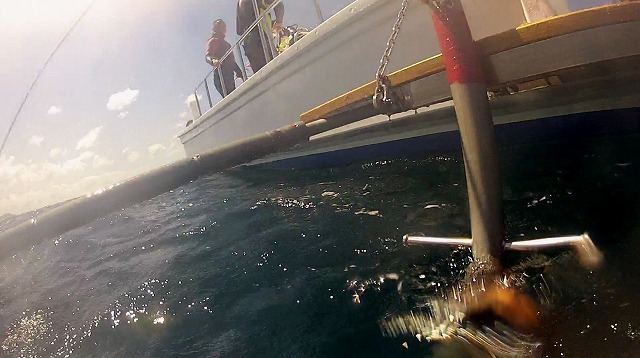b0075059_21253529.jpg