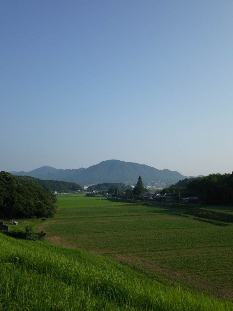 e0033459_2059688.jpg
