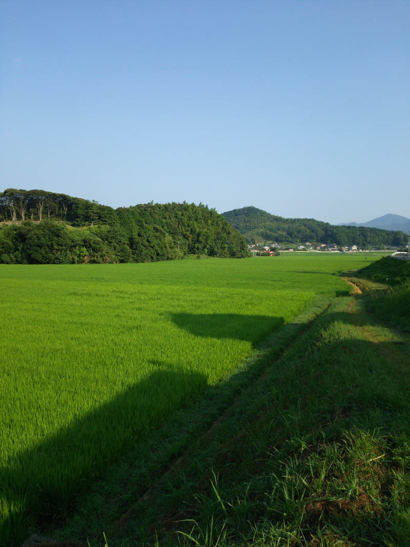 e0033459_2135815.jpg