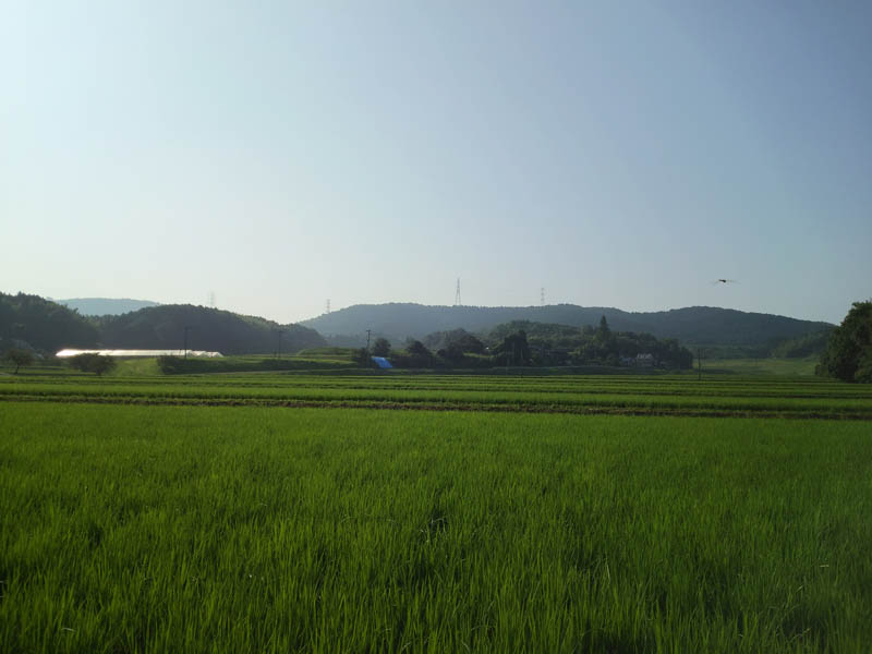 e0033459_215278.jpg