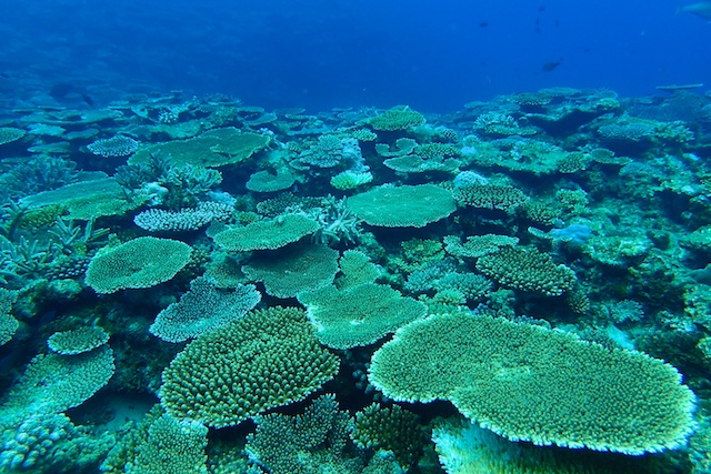 b0062363_19395774.jpg