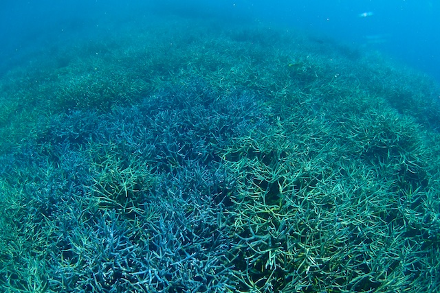 b0062363_1940928.jpg