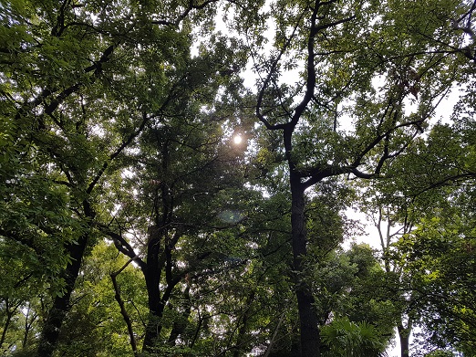 e0132965_2262095.jpg