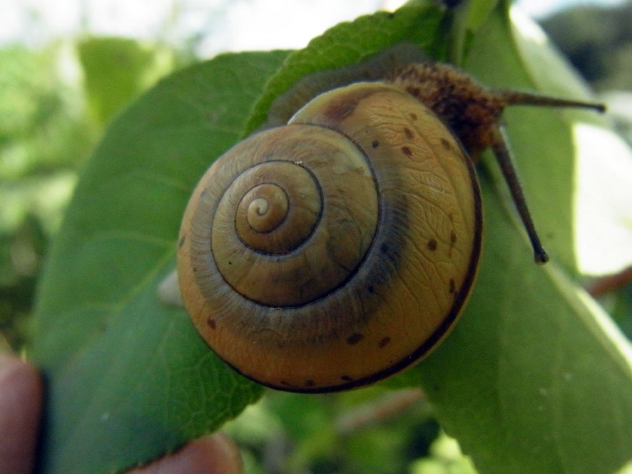 f0131669_14222021.jpg