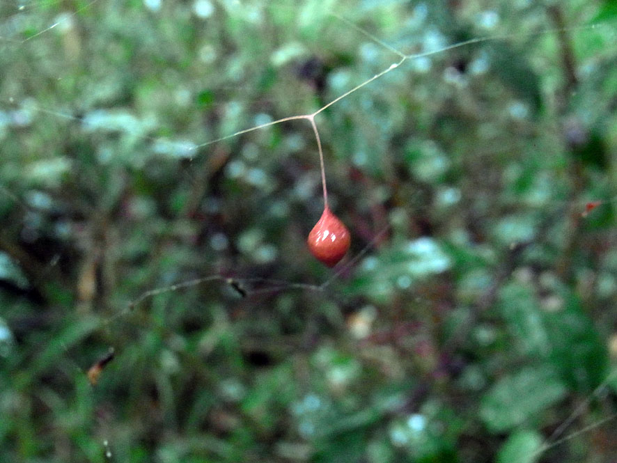 f0131669_14371131.jpg
