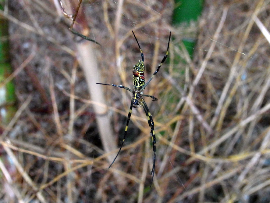 f0131669_14383522.jpg
