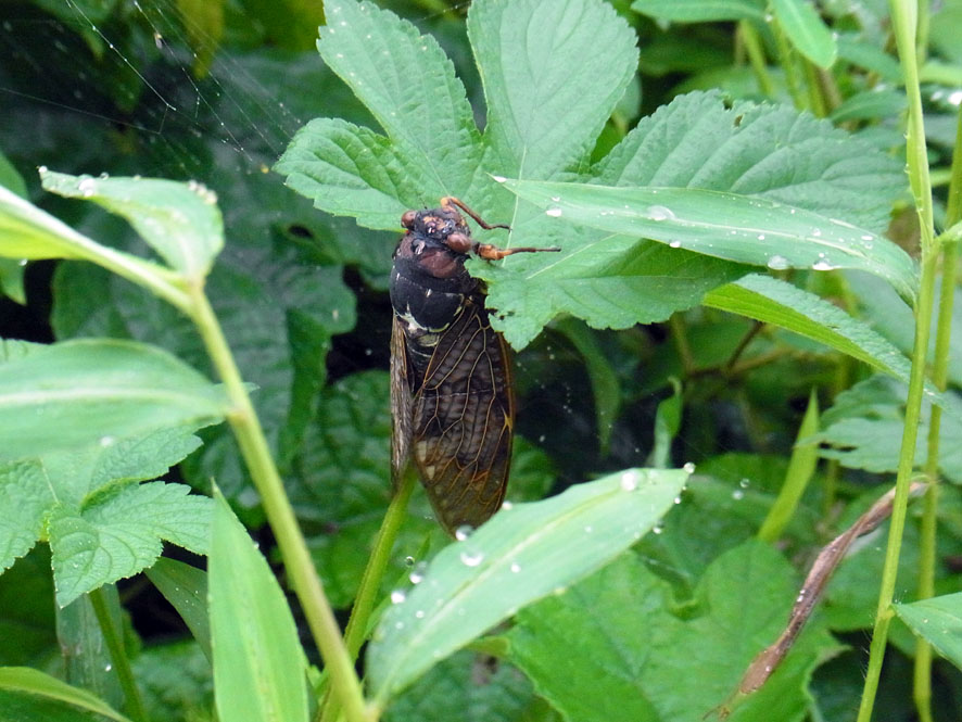 f0131669_14533337.jpg