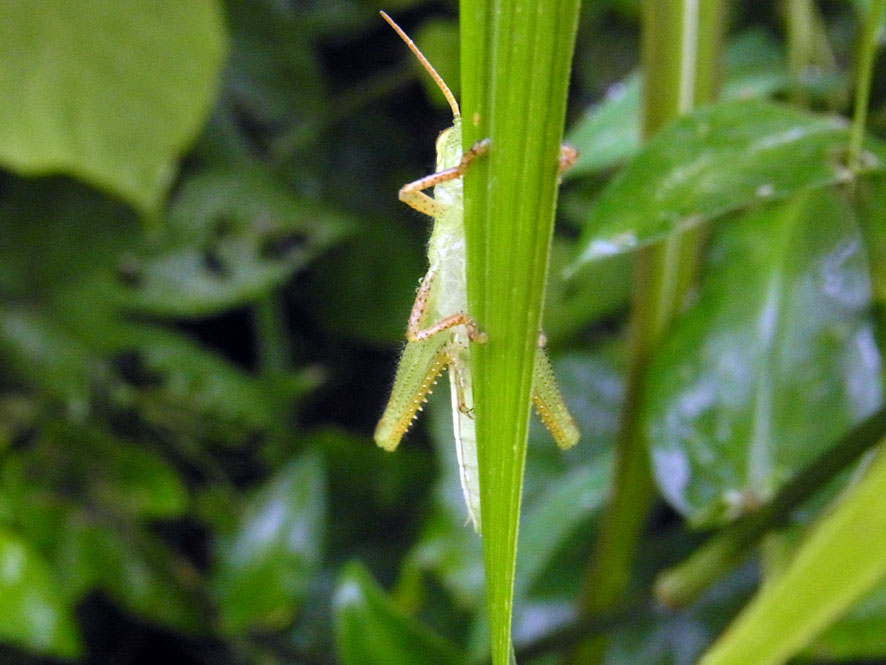 f0131669_14574843.jpg
