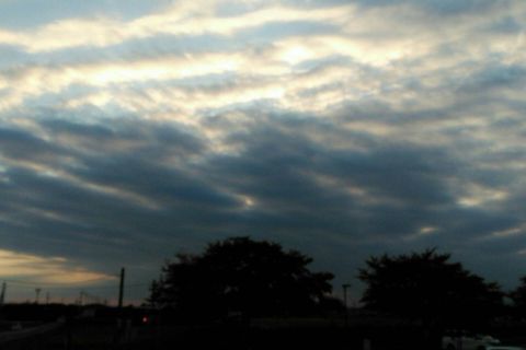 f0047773_15384575.jpg