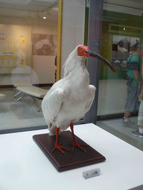 d0019074_4242513.jpg