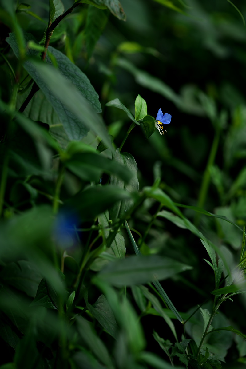 a0083081_1241719.jpg