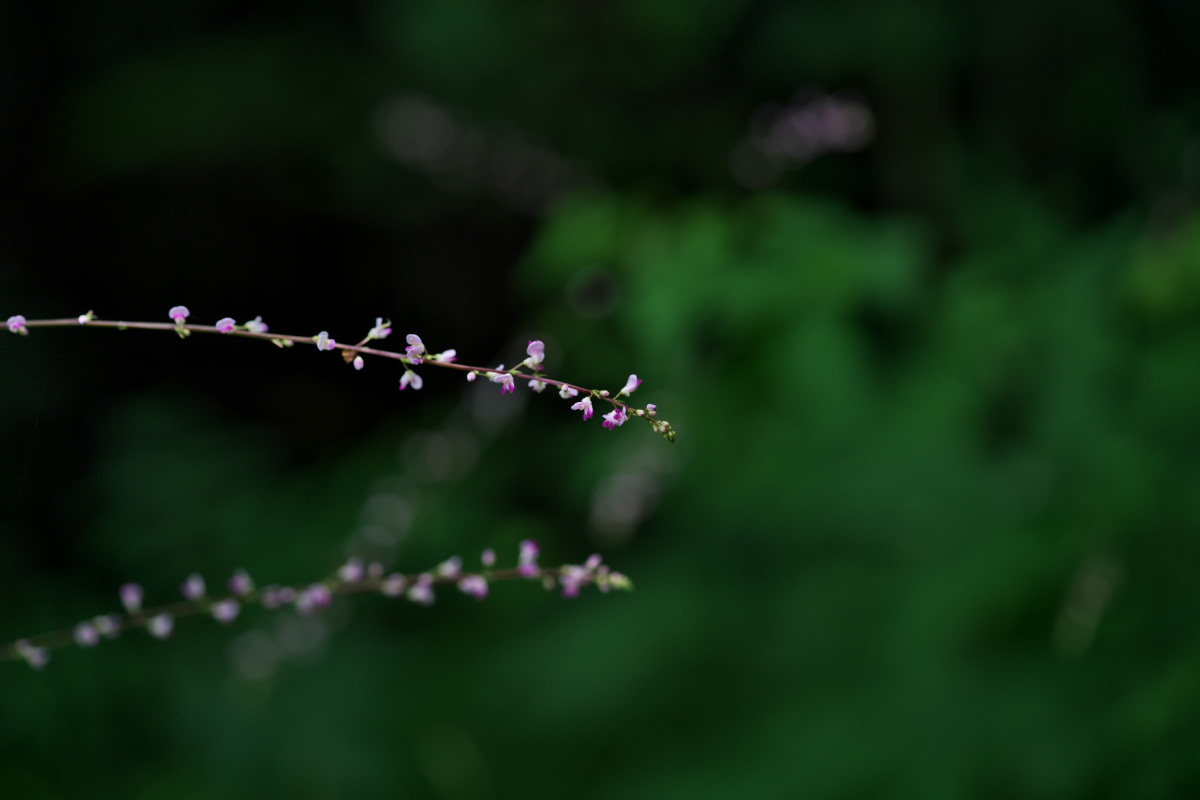 a0083081_12423516.jpg