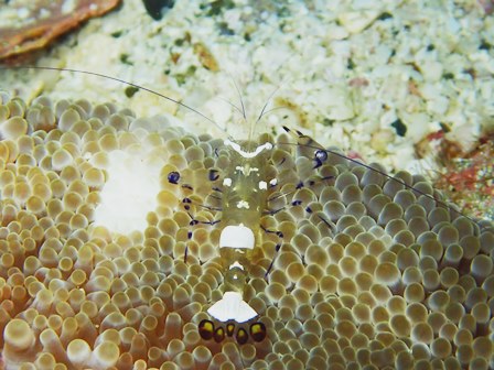 c0018489_10364985.jpg