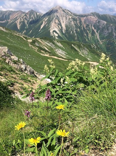e0271890_12322794.jpg