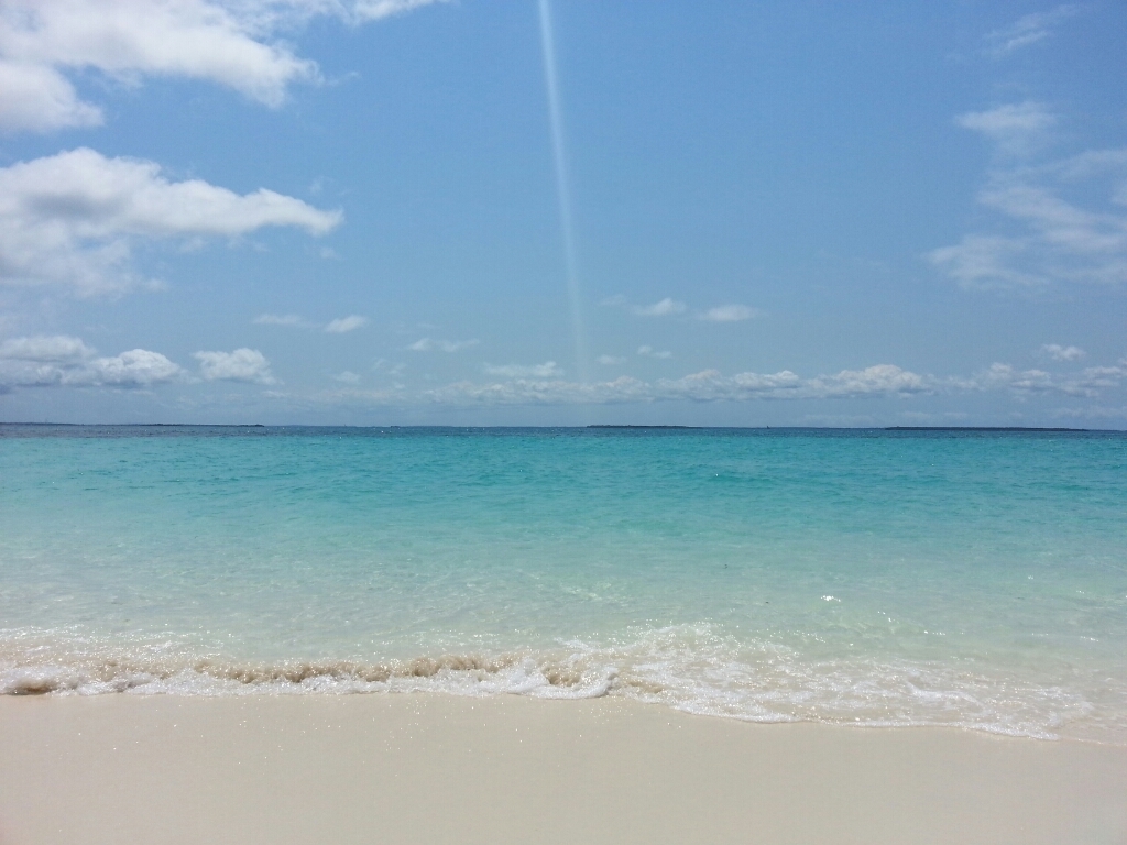 f0204591_17373069.jpg