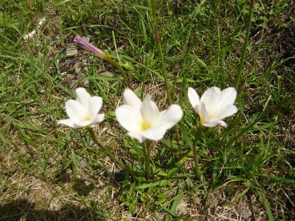 a0139007_13504089.jpg