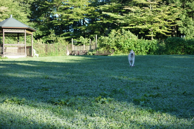 f0327308_08114865.jpg