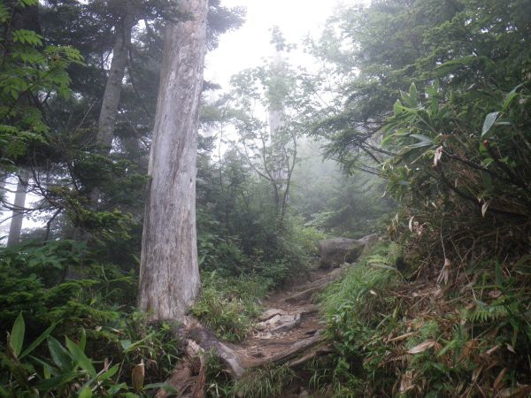 d0006512_13221867.jpg