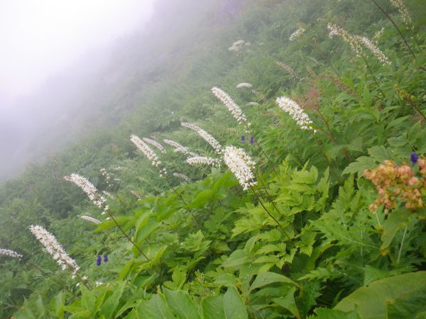 d0006512_13242039.jpg