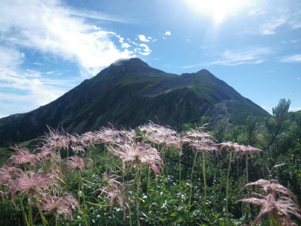 d0006512_14081680.jpg