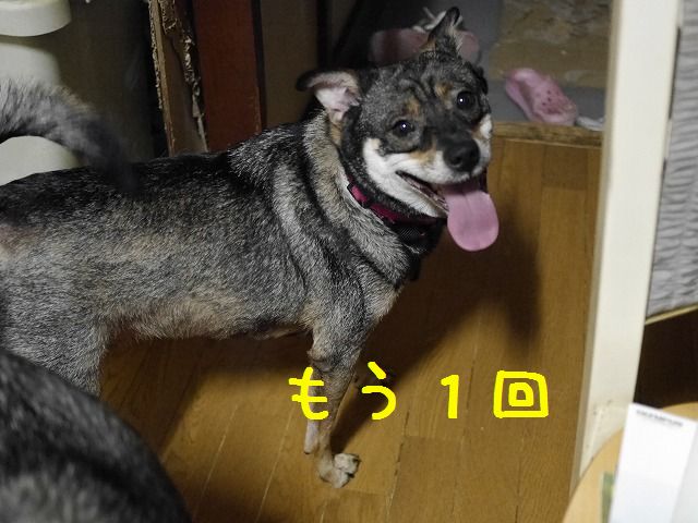 f0282319_19555657.jpg
