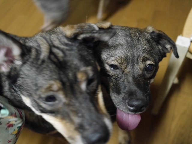 f0282319_201097.jpg