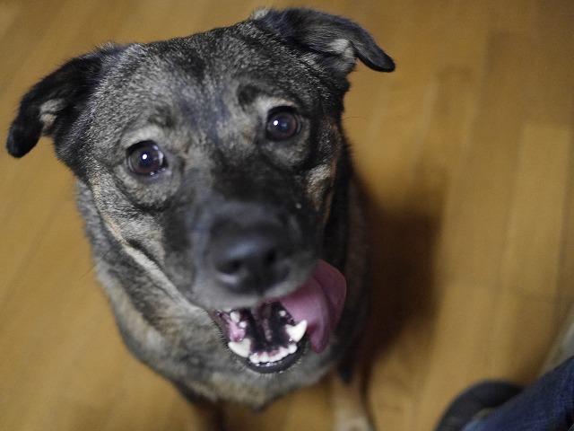 f0282319_2015615.jpg