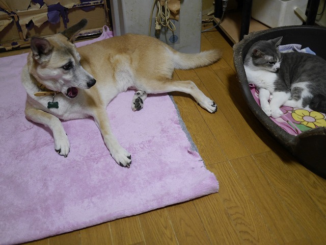 f0282319_2062448.jpg