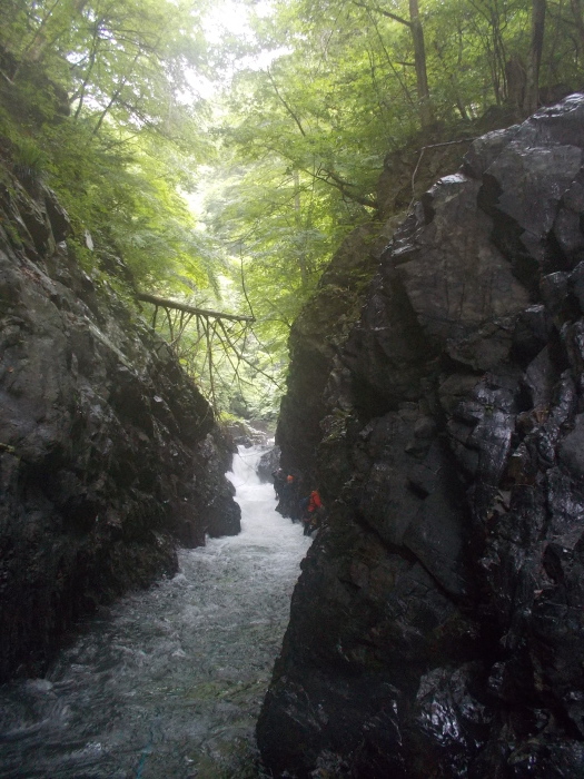 b0037220_14591414.jpg