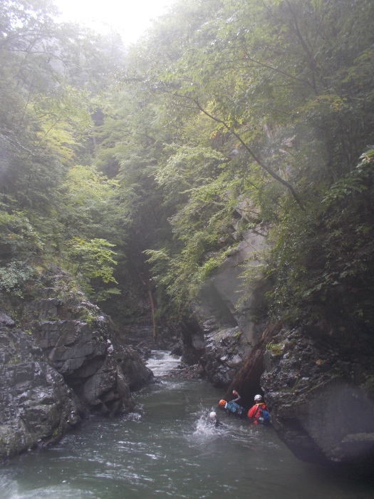 b0037220_15052863.jpg