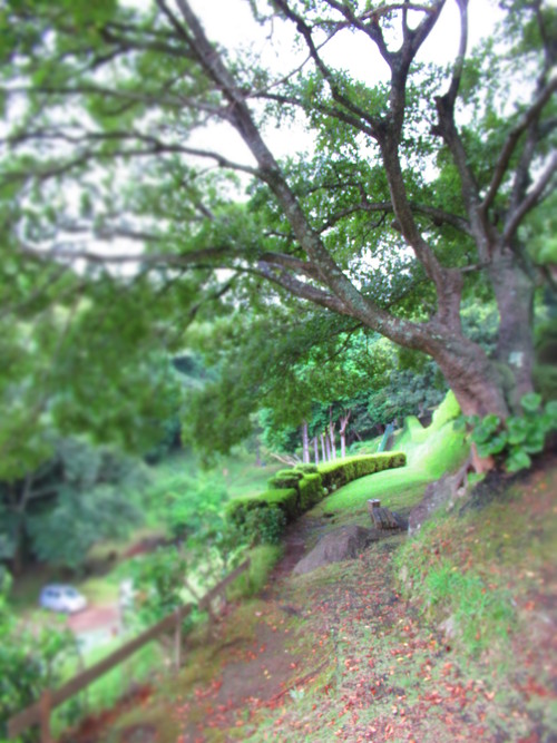 b0350820_7565153.jpg