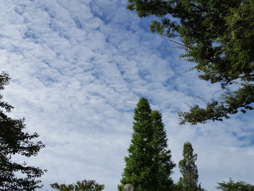 e0016828_10583265.jpg