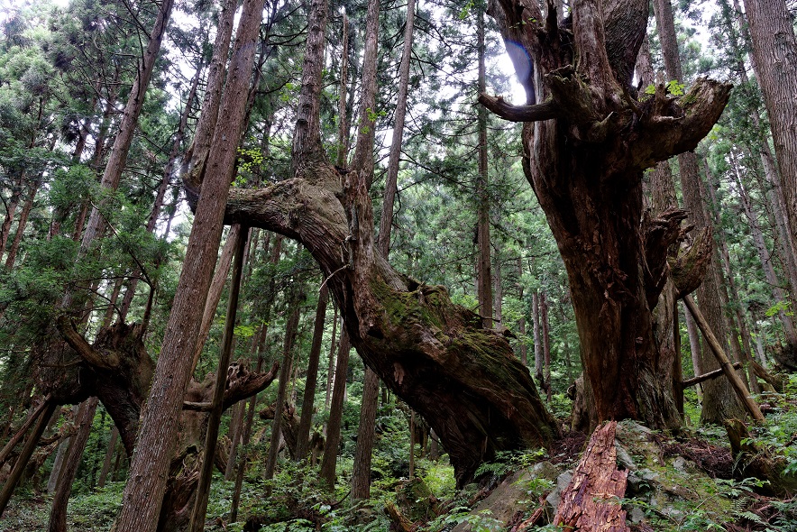 f0274536_1622015.jpg