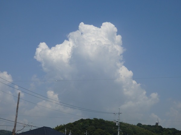 a0054240_22292263.jpg