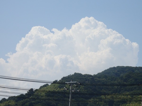 a0054240_22304377.jpg