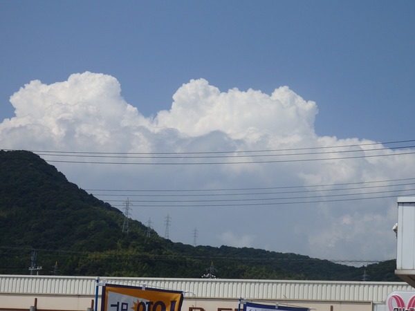 a0054240_2232538.jpg